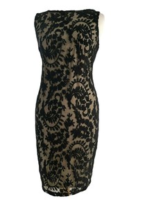 Wallis Lace Short Dresses for Women for 