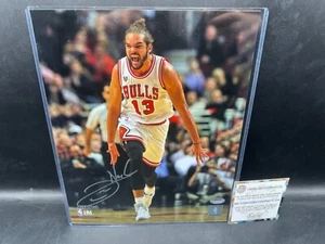 Joakim Noah Signed Autograph 8x10" Chicago Bulls Basketball Photo Schwartz COA - Picture 1 of 3