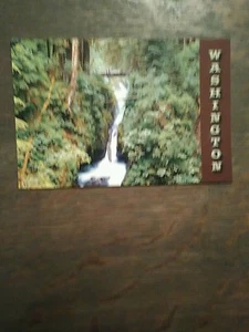 SOL DUC HOT SPRINGS POST CARD THE SOL DUC FALLS NEAR PORT ANGELES WASHINGTON - Picture 1 of 12