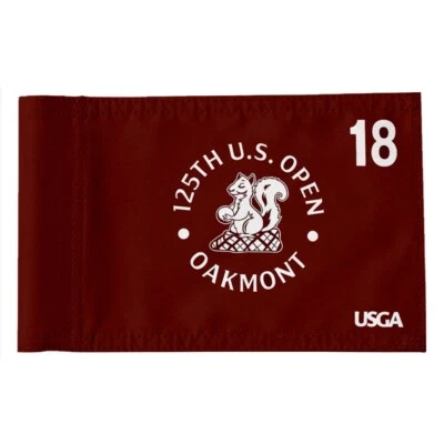 Pin de golf Oakmont 2025 US Open bandera tubo regulación USGA bandera 8x6 pulgadas rojo Foto 1 de 4