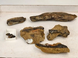 Dana Quarry Sauropod Rib And Vert Process (?) Fossil Projects - Morrison Fm - WY - Picture 1 of 24