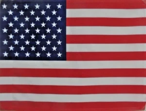 US Standard House Flag by Toland 24" x 36",Durable and Colorfast! #1266 - Picture 1 of 8