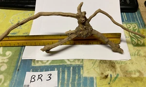 One Of A Kind Unique Driftwood Man UNTOUCHEDIS AS IT WAS FOUND.free shipping - Picture 1 of 2
