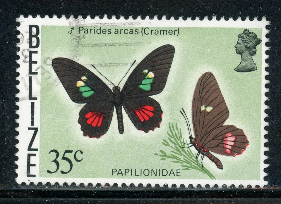 BELIZE 355A SG413 Used 1977 35c Butterfly Parides arcas CV$6 - Image 1 of 1