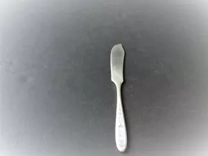 Vintage Silverplate Flat Spreader Butter Knife Engraved, Monogrammed handle. - Picture 1 of 12