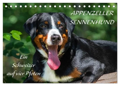 CALVENDO Sigrid Starick | Appenzeller Sennenhund - Ein Schweizer auf 4 Pfoten...