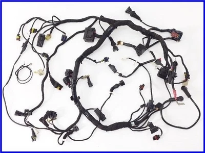 Juego de arnés principal genuino DUCATI 2010 848  Foto 1 de 4