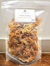 Sea Moss Organic 100g Wildcrafted Vegan Chondrus Crispus Irish Moss Dr Sebi Pure