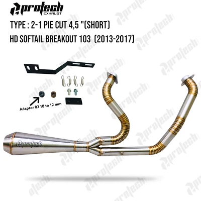 Exhaust Harley-Davidson SOFTAIL BREAKOUT 2 INTO 1  2006-2017 - Image 1 of 2