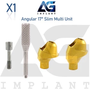 Angular Slim Multi Unit 1.6 Prosthetic 17° Int Hex Titanium With Screw - Bild 1 von 4
