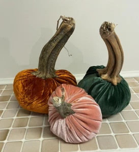 3 Samtkürbisse mit echten Stielen - Bild 1 von 2