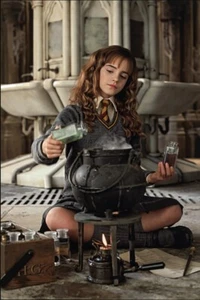 Poster Harry Potter - Hermione Granger - Picture 1 of 4