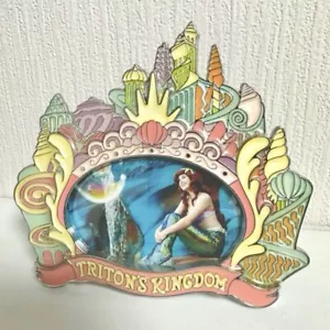 Marco de fotos Disneyland La Sirenita Ariel Tokio Disneysea Japón Parques Envío gratuito - Imagen 1 de 2