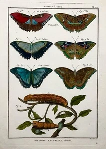 1794 Butterflies, Nymphes, Latreille, hand coloured quarto engraving, insects - Picture 1 of 4