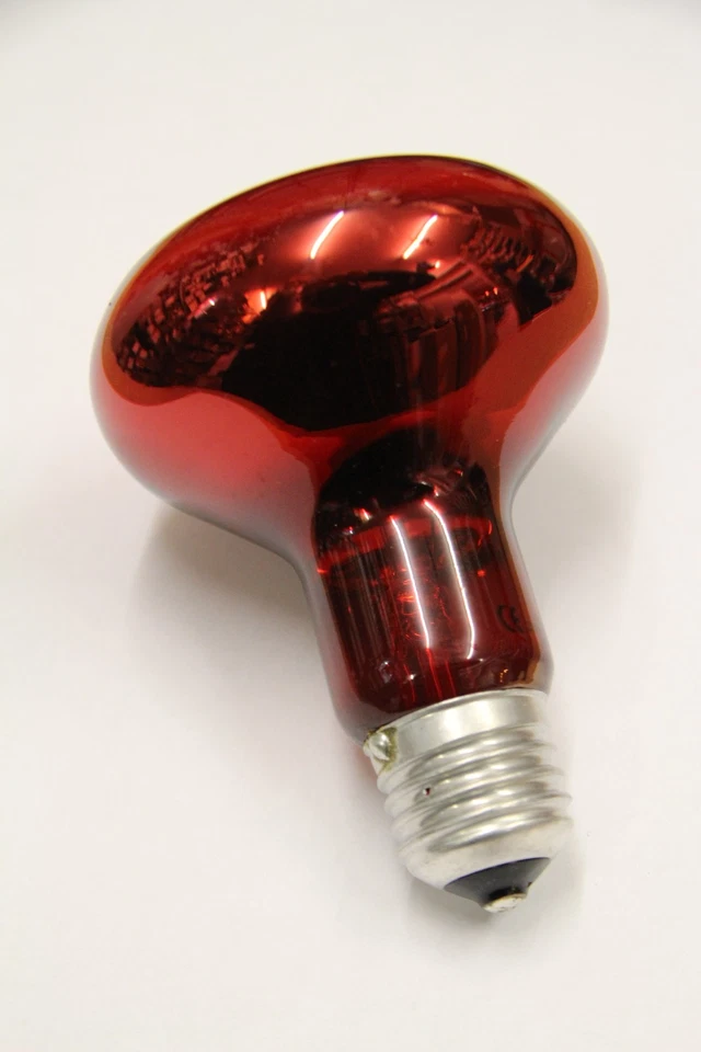 IR Red R80 100W 230V E27 Infrarot Lampe Infrarotlicht Wärme  Strahler Therapie - Bild 1 von 1