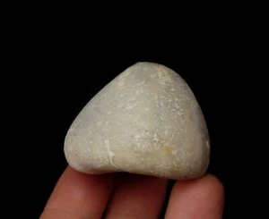 FOSSIL ECHINOID (SEA URCHIN) Echinocorys conicus -- Cretaceous --- POLAND /ph775 - Picture 1 of 15