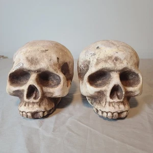 Juego de dos calaveras de espuma de aspecto realista usadas de 6" de alto - Imagen 1 de 13