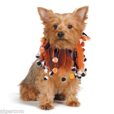 Aria Halloween Calabaza Pom Pom Elástico Scrunchies Perros Gatos Pequeño-Mediano-Grande NUEVO Foto 1 de 3