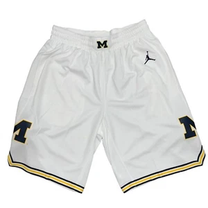 Air Jordan Michigan Wolverines White Basketball Shorts, Size Lrg NWT CD3167-100 - Picture 1 of 4