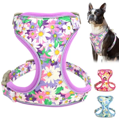 Floral Pet Dog Harness Reflective Soft Mesh Padded Walking Vest Adjustable S M L - Image 1 of 4