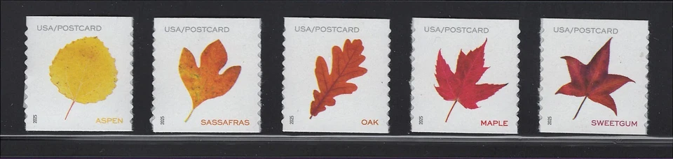 US Scott # 5971-5975 Vibrant Leaves Post Card Rate MNH Coil Singles 2025 - Image 1 of 1