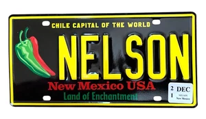 AWARD WINNING GRAPHIC VANITY CHILE LICENSE PLATE " NELSON " OZZIE HARRIET RICKY - Picture 1 of 1