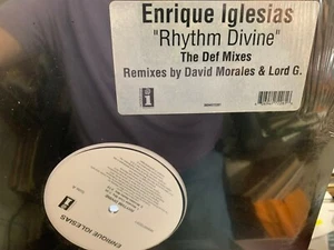 ENRIQUE IGLESIAS RHYTHM DIVINE MORALES 12" 1999 INTERSCOPE 0694972261 SEALED - Picture 1 of 1