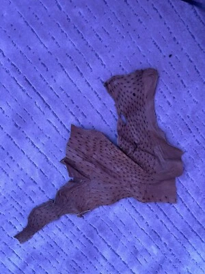 Genuine 100% Ostrich Exotic Leather Hide Head Upholstery Wallet Belt Bag Boot - Image 1 of 3