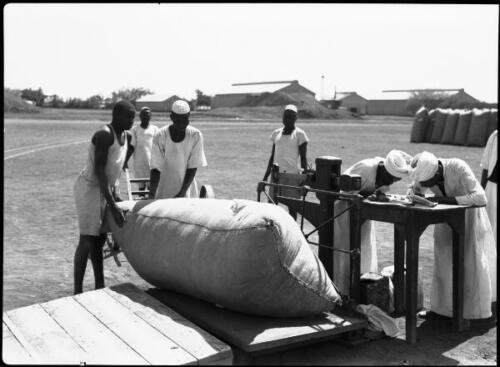 Sudan Weighing cotton as it comes in to the ginning factories Suda - Old Photo