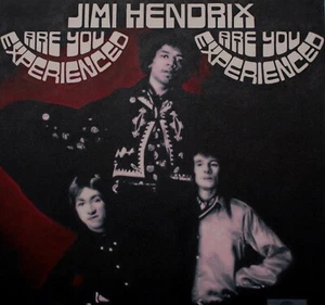 Jimi Hendrix - Oil on Canvas Jimi Hendrix LP 'Are You Experienced' by Sarah Hood - Picture 1 of 3