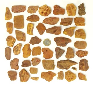 42 Stück Echter Roh Bernstein Rar Amber Stones Natural Baltic 283 Gramm !!! - Bild 1 von 7