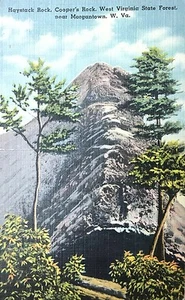 Vintage Postcard of Cooper Rocks State Forest (Morgantown, WV), circa 1949 - Picture 1 of 1