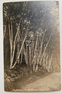 RPPC Postcard The Birches Andover New Hampshire NH  Real photo postcard - Picture 1 of 3