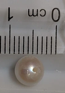 Very small DRILLED SALT WATER PEARL from AUSTRALIA (#F6699) - Picture 1 of 1