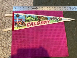 Calgary Alberta Pennant CANADA Wainwright Hotel HERITAGE PARK - DINOSAUR Rodeo - Picture 1 of 5