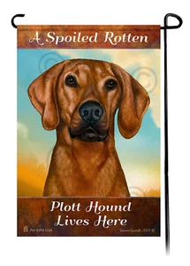 A Spoiled Rotten Red Plott Hound vive aquí - Imagen 1 de 1