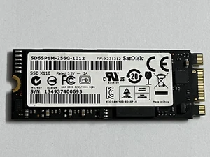 SD6SP1M-256-1012 X110 SSD 256GB 2260 M.2 NGFF SATA 6.0Gb/s Solid state drives - Afbeelding 1 van 7