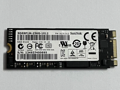 SD6SP1M-256-1012 X110 SSD 256GB 2260 M.2 NGFF SATA 6.0Gb/s Solid state drives - Image 1 of 4