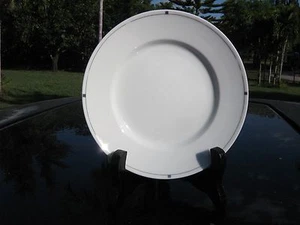 AMKO AMERICAN AIRLINES 5,5" PLATTE GRAUER VERKLEIDUNG SCHWER ZU FINDEN 73-PL-088 - Bild 1 von 11