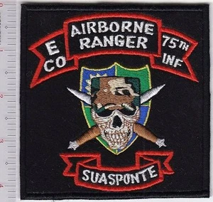 Ranger US Army Vietnam 9th Infantry Division E Co 75th Infantry Regiment Airborn - Picture 1 of 1