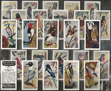SWEETULE-FULL SET- BIRDS OF BRITISH COMMONWEALTH 1954 (BLACK BACK 25 CARDS)