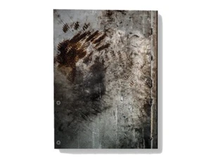 Bruce Gilden Black Country (Ltd Ed with Signed print #12/25) - Foto 1 di 11