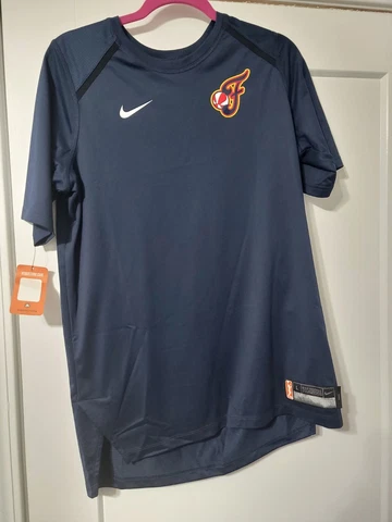 Vintage WNBA Indiana Fever Shirt, Blue, Men's Size L Cover