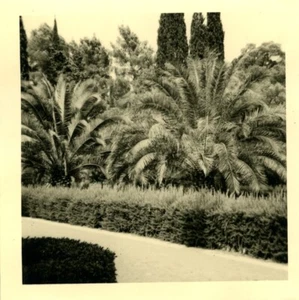 Kroatien Dubrovnik Lokrum Insel Benediktinerkloster altes Foto Schnappschuss 1962 #2 - Bild 1 von 3