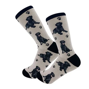 Black Labrador Socks Gift/Present Dog Lab - Picture 1 of 1