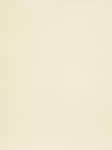 100 Sheets Cream/Vellum Laid A4 100gsm Textured Paper - Picture 1 of 2