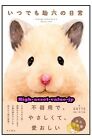 Sukeroku's Daily Life Gotte Art Book Hamster Illustration Manga Twitter Japan Ja