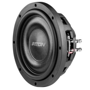 ETON MW 10 FLAT 25 cm Flachsubwoofer Chassis Flacher 25 cm, 10 Zoll Subwoofer - Bild 1 von 11