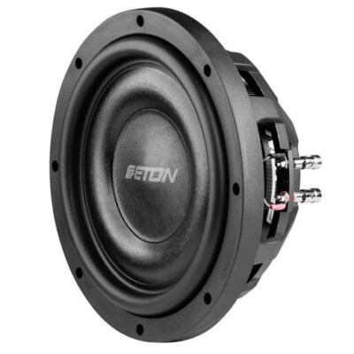 ETON MW 10 FLAT 25 cm Flachsubwoofer Chassis Flacher 25 cm, 10 Zoll Subwoofer - Bild 1 von 4