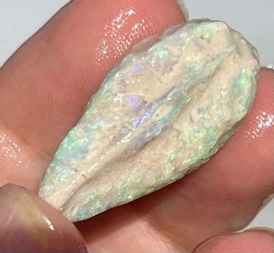 Fósil de ópalo concha completa Lightning Ridge ópalos australianos fósiles cristal de aguamarina Foto 1 de 4